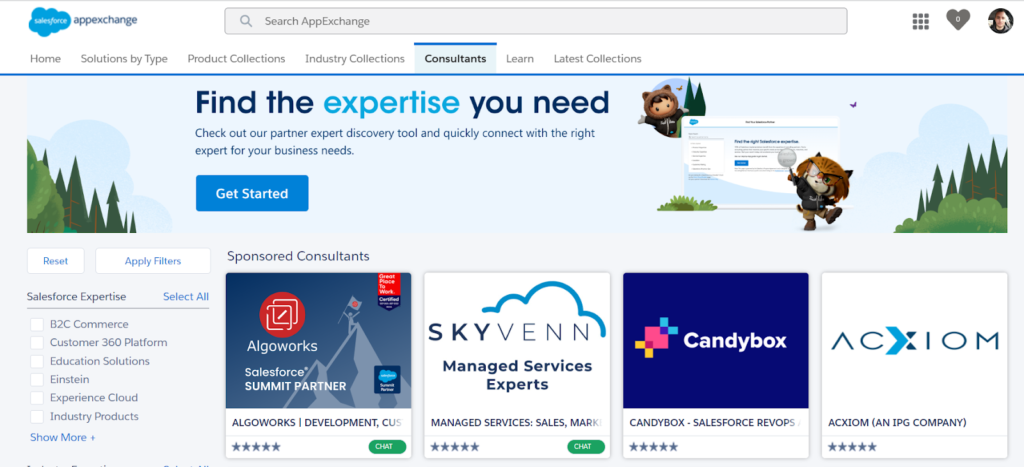AppExchange Consultants